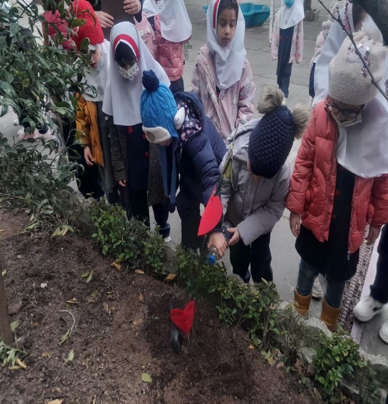 روز درخت کاری