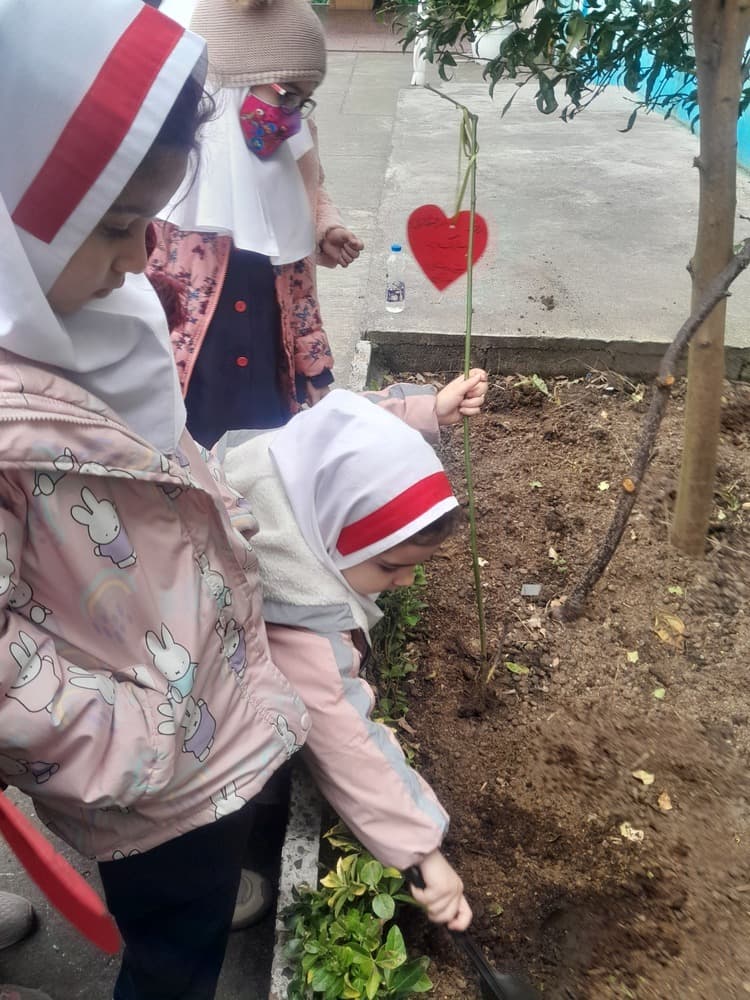 تصویر مقاله