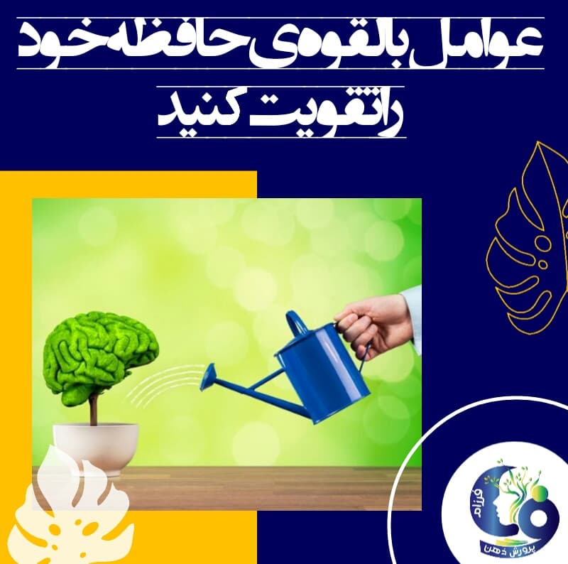عوامل بالقوه‌ی حافظه خود را تقویت کنید