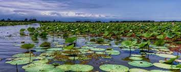 تالاب انزلی